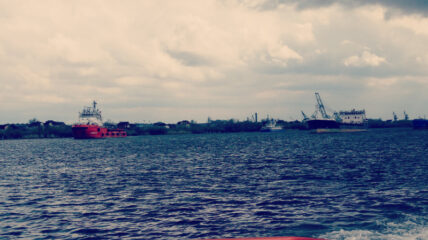 С территории Астраханской области в Иран экспортировано более 5 тысяч тонн фуражного зерна