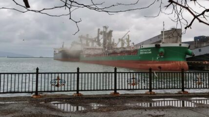 Росприроднадзор посчитал размер вреда за загрязнение Черного моря от действий «Новороссийского зернового терминала»