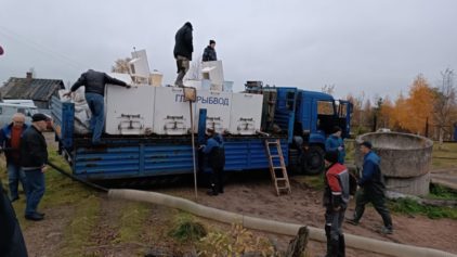В Княжегубское водохранилище выпустили 36,1 тысячи мальков сига