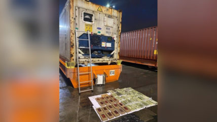 В порту Санкт-Петербурга таможенники обнаружили в бананах 50 кг наркотиков