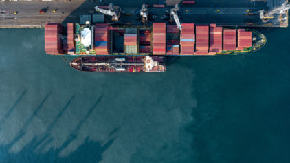 Как прошел 2025 год для морских портов России