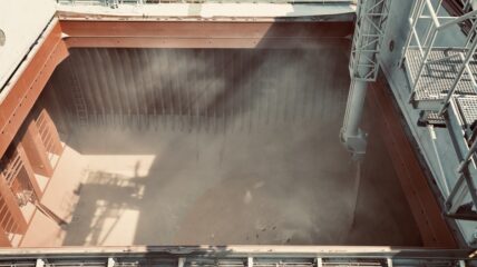 Экспорт пшеницы из России будет замедляться на фоне неурожая и высоких пошлин — Platts