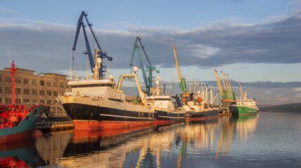 Госдума приняла закон о новом порядке аренды государственных причалов в морпортах