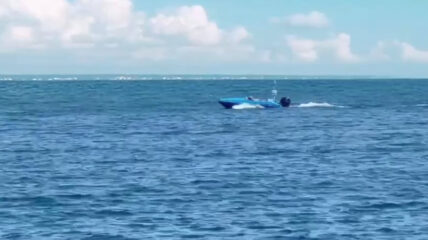 В России готовятся к выпуску серийного безэкипажного катера «Скорлупа»