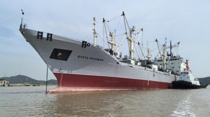 РС завершил освидетельствование рефрижераторного судна «Бухта Русская»