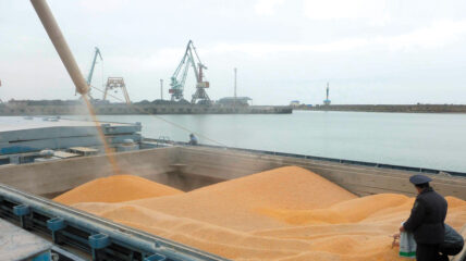 Россельхознадзором на Камчатке проверено свыше 5 тысяч тонн грузов при отправке зарубежные порты