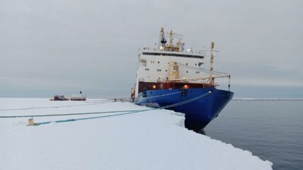 Дизель-электроход транспортной группы Fesco «Василий Головнин» вновь прибыл в Антарктиду