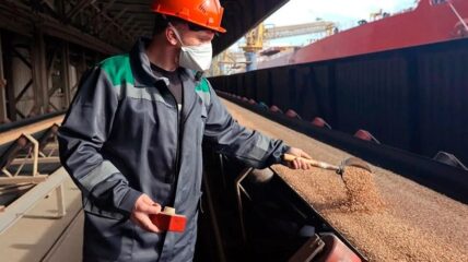 Экспорт российской пшеницы в Кению через порты Кубани в первом полугодии 2026 года превысил 1 млн тонн